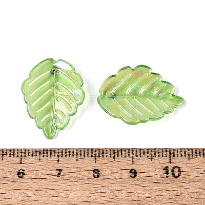 Transparent Plastic Pendants KY-N025-13-1