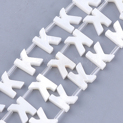 Natural Freshwater Shell Beads SHEL-T012-59K-1