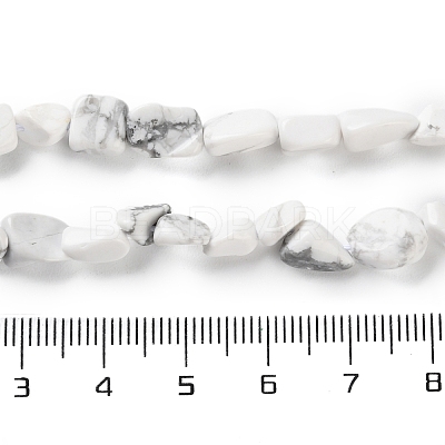 Natural Howlite Beads Strands G-P497-01C-64-1