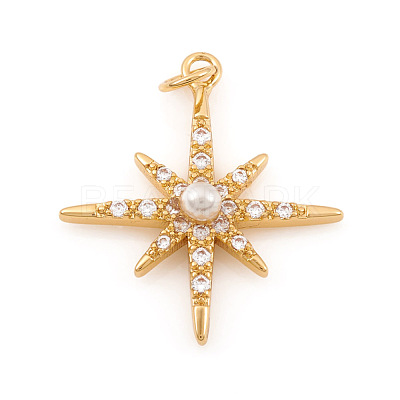 Brass Micro Pave Cubic Zirconia Charms ZIRC-G169-06G-1