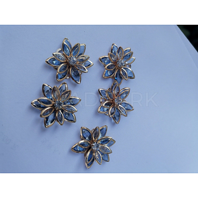 Acrylic Rhinestone Cabochons LS-OHAR-PW0010-02G-1