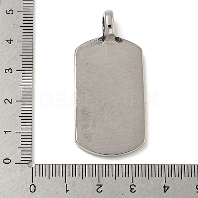 316 Surgical Stainless Steel Pendants STAS-Z073-75AS-04-1