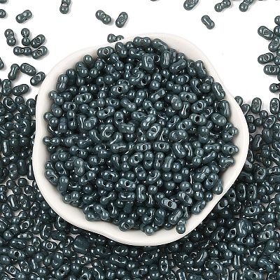 Baking Paint Glass Seed Beads SEED-L011-09A-23-1