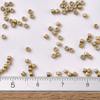 MIYUKI Delica Beads SEED-JP0008-DB1153-1