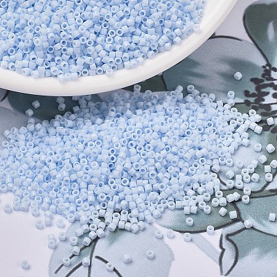 MIYUKI Delica Beads X-SEED-J020-DB1497-1