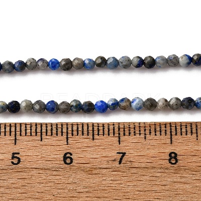 Natural Lapis Lazuli Beads Strands LS-G-L629-B01-2mm-03-1