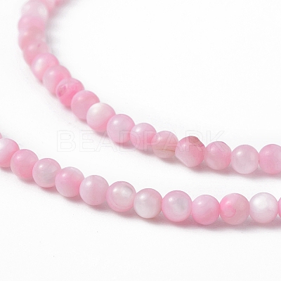 125Pcs Natural Freshwater Shell Beads SHEL-B002-01B-1