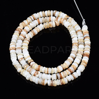 Natural Freshwater Shell Beads Strands SHEL-T018-28-1