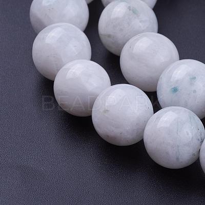 Natural Rainbow Moonstone Bead Strands G-G970-37-12mm-1