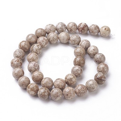 Natural Fossil Coral Beads Strands G-F563-02-8mm-1