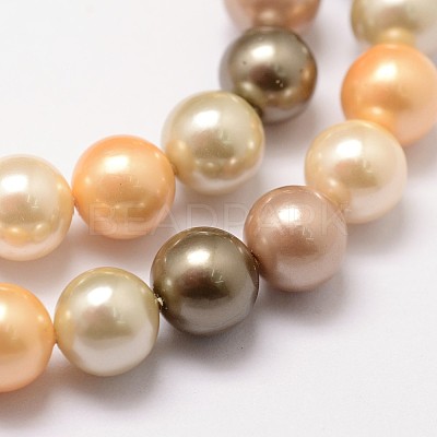 Shell Pearl Bead Strands X-BSHE-L017-12-1