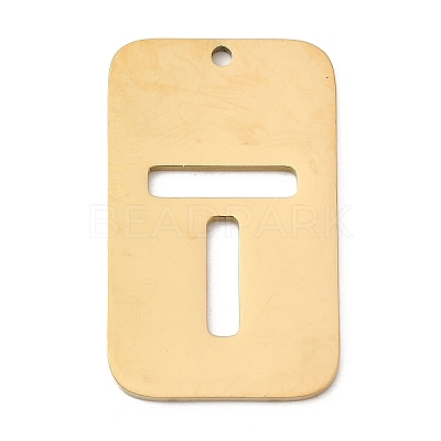 304 Stainless Steel Pendants STAS-D200-01T-G-1