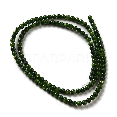 Natural Freshwater Shell Beads Strands SHEL-H003-03A-1