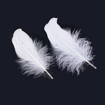Goose Feather Costume Accessories FIND-T015-30-1