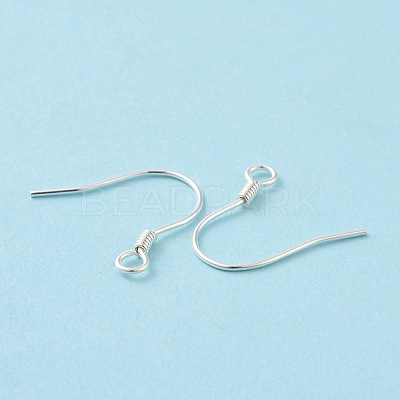 925 Sterling Silver Earring Hooks STER-D035-22S-1