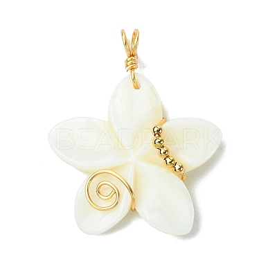 Natural Carved Freshwater Shell Pendants PALLOY-JF03390-1