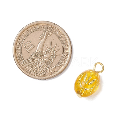 Transparent Acrylic Pendants PALLOY-JF04346-1
