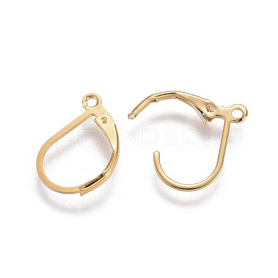304 Stainless Steel Leverback Earring Findings STAS-L221-09G-1