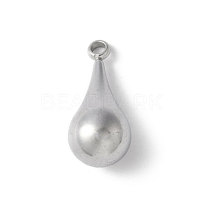 304 Stainless Steel Pendants STAS-U046-01C-P-1