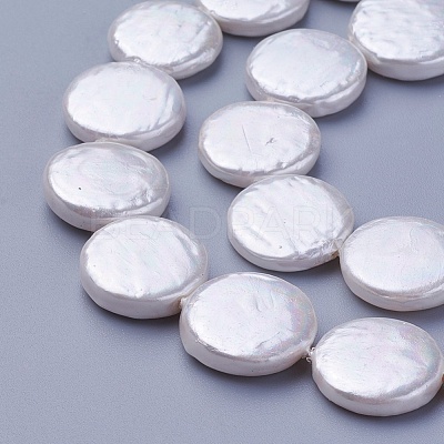Shell Pearl Beads Strands X-BSHE-P030-01D-1