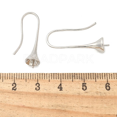 Brass Earring Hooks KK-I655-10P-1