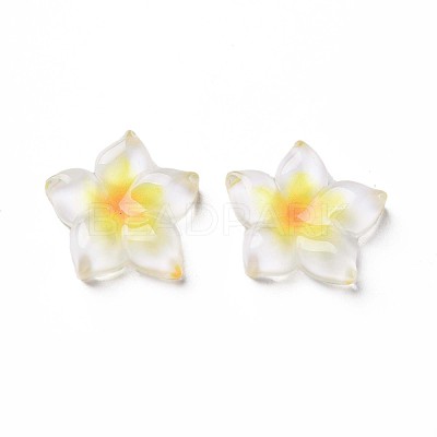 Transparent Epoxy Resin Cabochons CRES-S365-23A-1