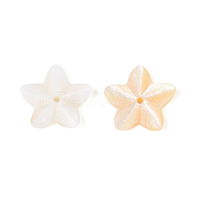 Natural Freshwater Shell Beads BSHE-T014-14-1