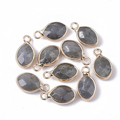 Natural Labradorite Pendants G-S359-014A-1