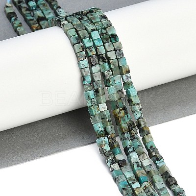 Natural African Turquoise(Jasper) Beads Strands G-B129-A20-01-1
