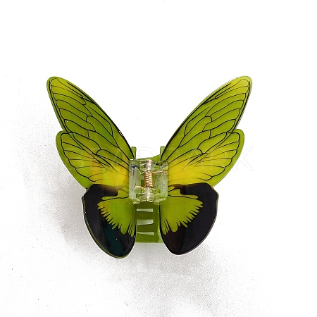 Acrylic Claw Hair Clips PW-WGB13F0-02-1