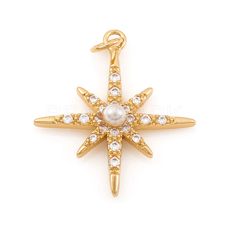 Brass Micro Pave Cubic Zirconia Charms ZIRC-G169-06G-1