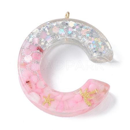 Resin Pendants RESI-B029-01P-C-1