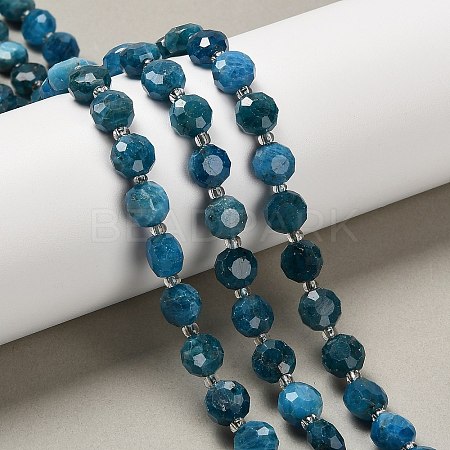 Natural Apatite Beads Strands G-B153-A05-1