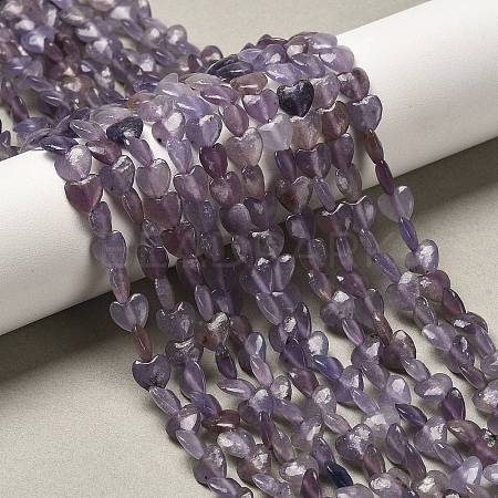 Natural Lepidolite/Purple Mica Stone Beads Strands G-P575-C01-6mm-1