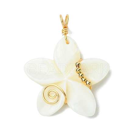 Natural Carved Freshwater Shell Pendants PALLOY-JF03390-1