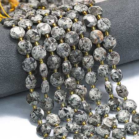 Natural Fluorescent Syenite Rock(Glow under UV Light) Beads Strands G-C116-A127-01-1