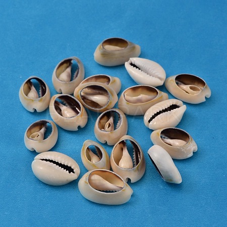 Natural Cowrie Shell Beads X-BSHE-S052-1