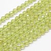 Natural Peridot Beads Strands LS-G-F460-52-1