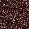 Baking Paint Glass Seed Beads SEED-T006-03V-2