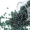 TOHO 11/0 Round Beads X-SEED-TR11-0118-1