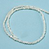 Natural White Shell Dyed Beads Strands BSHE-Z005-03G-2