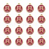 Golden Plated Alloy Enamel Charms LS-ENAM-S118-08H-2