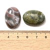 Natural Indian Agate Gemstone Cabochons G-T020-18x25mm-27-3
