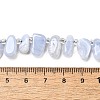 Natural Blue Lace Agate Spike Slice Beads Strands G-NH0046-B01-01-5