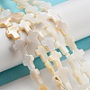Natural Freshwater Shell Beads Strands BSHE-G034-26-2