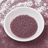 MIYUKI Delica Beads X-SEED-J020-DB0765-2