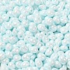 6/0 Glass Seed Beads X1-SEED-M012-01A-13-3