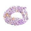 Natural Ametrine Beads Strands G-P497-01C-48-3