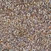 MIYUKI Round Rocailles Beads X-SEED-G007-RR3645-2