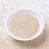 MIYUKI Delica Beads X-SEED-J020-DB1874-2